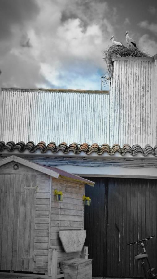 Casa Rural La Cruz 엘 고르도 외부 사진